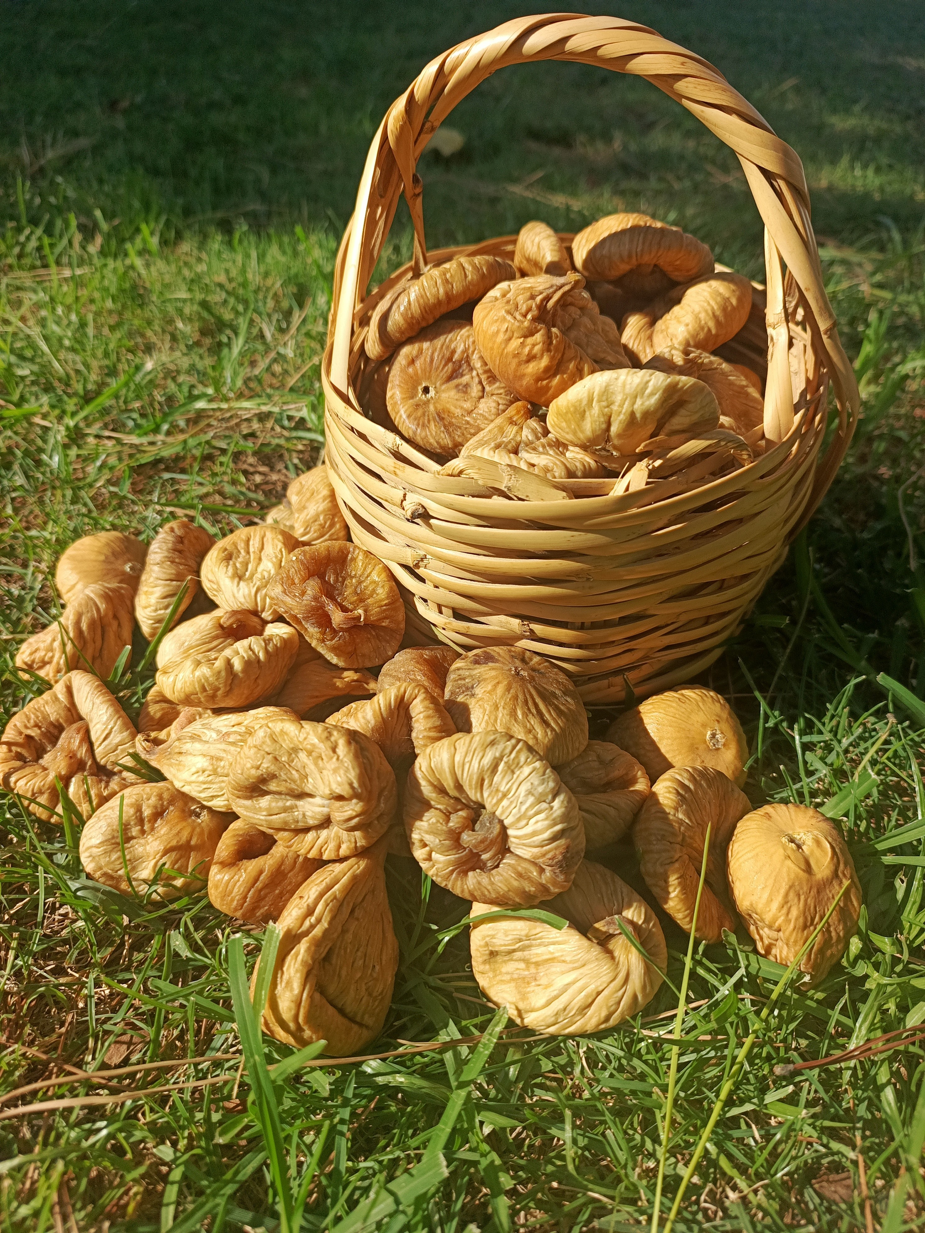 Ballı Ekstra Büyük Boy İncir 1 KG