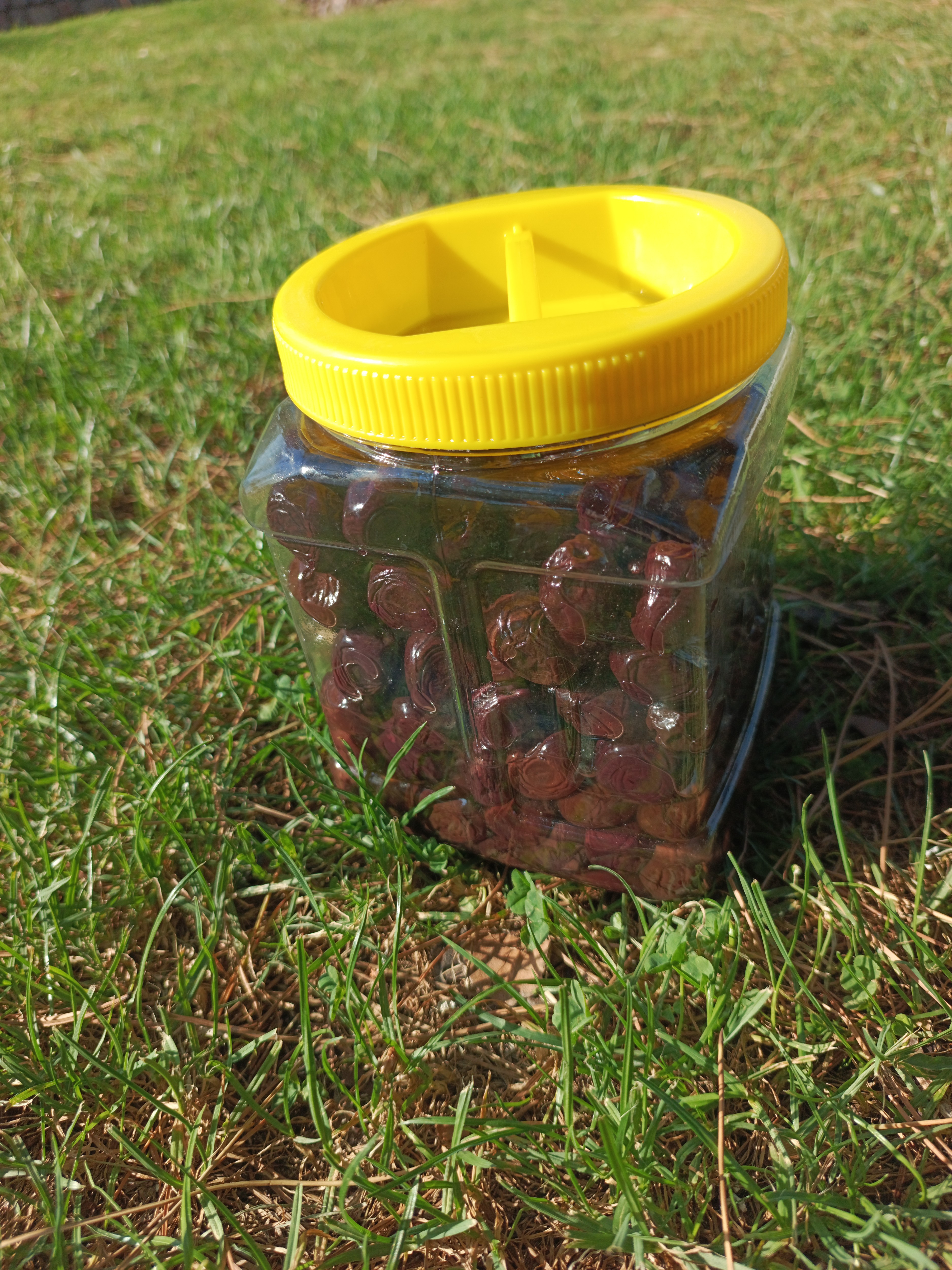 Jumbo Boy Sele Salamura Siyah Zeytin 1 KG